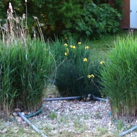 Appartement Neuf & Ecologique A La Campagne Marzens Exteriér fotografie
