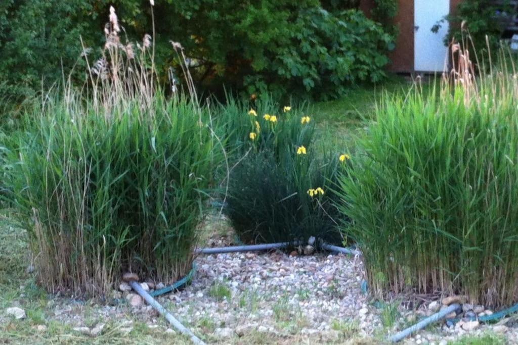 Appartement Neuf & Ecologique A La Campagne Marzens Exteriér fotografie